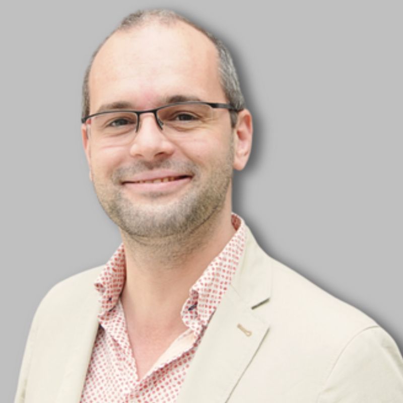 Fabien Michel, Groupe Andine
